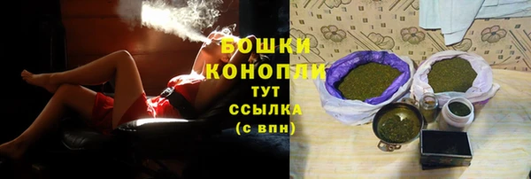 ешки Аркадак