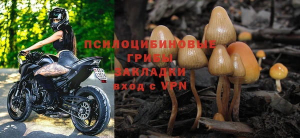 ешки Аркадак
