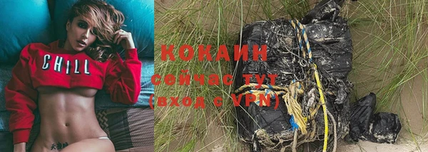 ешки Аркадак