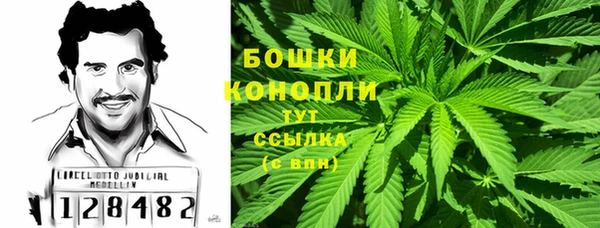 ешки Аркадак