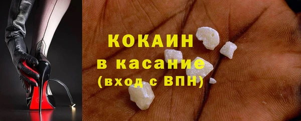 гашик Россошь